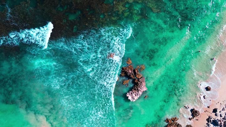 竹林风景视频：翠绿竹海与自然光影的宁静之旅